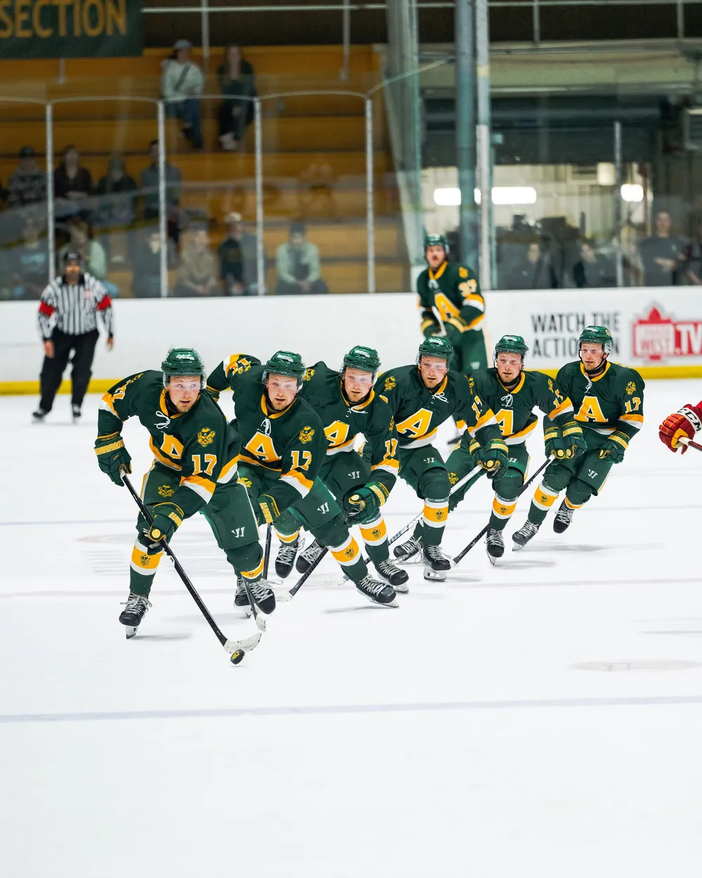 Too Many Men hockey composite