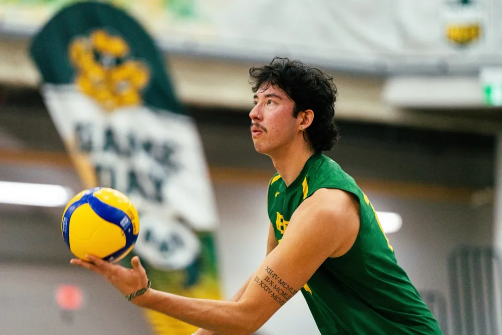 UofA Golden Bears volleyball serve